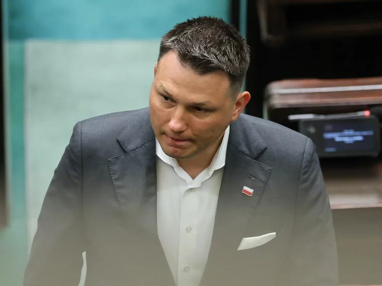 "Dziki są zagrożeniem". Mentzen nie ma wątpliwości: Należy do nich strzelać