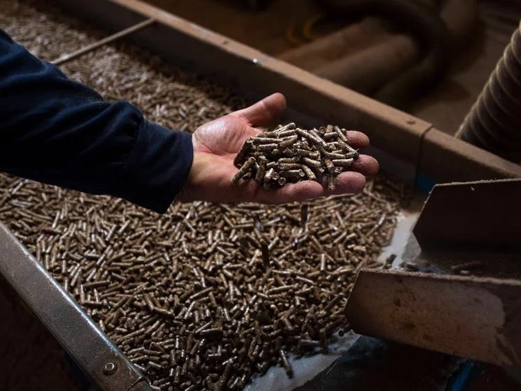 Pellet jest drogi, bo Polacy kupili za dużo kotłów? UOKiK mówi o "systemowym problemie"